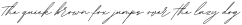 Beautifully Delicious Script otf (700)