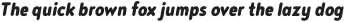 Noyh Slim R Heavy Italic otf (800)