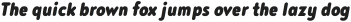 Noyh Slim R Black Italic otf (900)