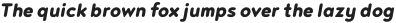 Noyh R Heavy Italic otf (800)