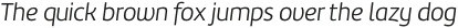 Marine Light Italic otf (300)
