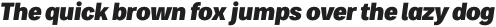 Bruta Pro Condensed Extra Bold Italic otf (700)