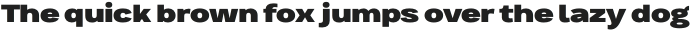 Bruta Pro Extended Black otf (900)