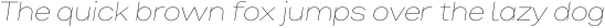 Bruta Pro Extended Thin Italic otf (100)