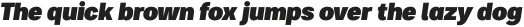 Bruta Pro Condensed Black Italic otf (900)