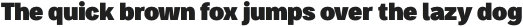 Bruta Pro Condensed Black otf (900)