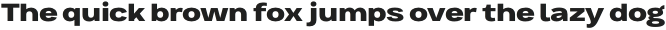 Bruta Pro Extended Extra Bold otf (700)