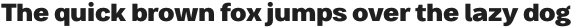 Bruta Pro Regular Extra Bold otf (700)