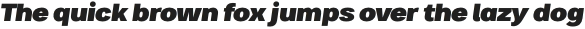 Bruta Pro Regular Black Italic otf (900)