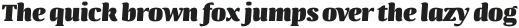 Quador UltraBold-Italic otf (700)