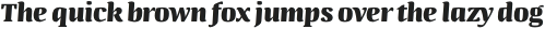 Quador Display ExtraBold-Italic otf (700)