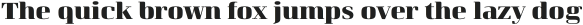Curve ExtraBold otf (700)