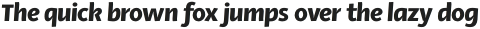 Ador Black-Italic otf (900)