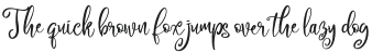 The Beaner Font 5 otf (400)