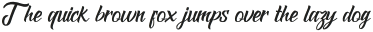 Black and Shadow Font otf (900)