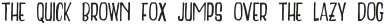 Delight Book otf (300)