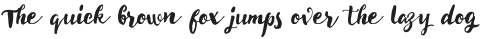 Delight Script otf (300)
