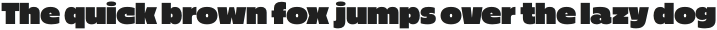 Gaude Wide Black otf (900)