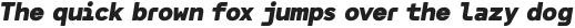 Filamint Soft V.001 Extra Black Italic otf (900)