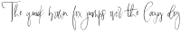 Lasiera Script otf (400)