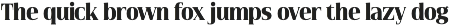 Vidocq preview