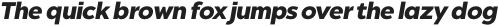 Chronica Pro Black Italic otf (900)