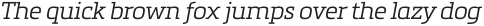 Metronic Slab Pro Light italic otf (300)