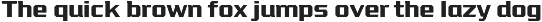 VTF League – Middleweight Package preview