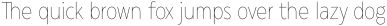 Matahari Condensed 100 Condensed Thin otf (100)