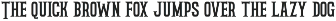 Shinyday & ROCKSTAR font duo preview