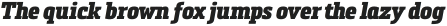 Metronic Slab Narrow Black Italic otf (900)