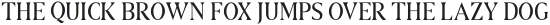 ROMANS REXAMPLES LONG SERIF otf (400)