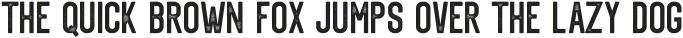 Eusthalia Sans Stamped otf (400)
