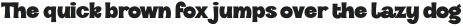 VVDS_Halau Bold otf (700)