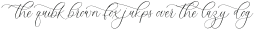 Monterey Script Swashes 4 otf (400)