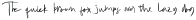 CaliforniaVibeScript otf (400)