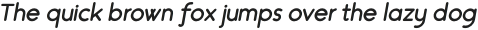 velocity italic bold otf (700)
