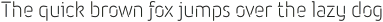 Iconic Stencil Light otf (300)