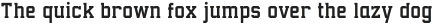 Collegium Light ttf (300)