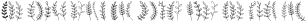 Ciao Bella Stems ttf (400) Sample