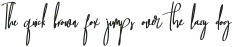 Baropetha Signature2 ttf (400)