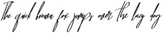 Baropetha Signature_Italic2 ttf (400)