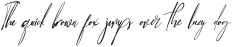 Baropetha Signature_Italic1 ttf (400)