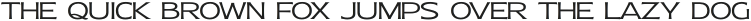 Molly Sans E Light otf (300)