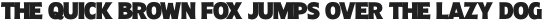 Molly Sans C Black otf (900)