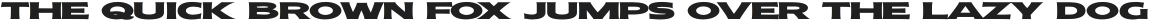 Molly Sans XE Black otf (900)