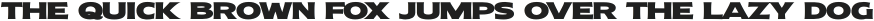 Molly Sans E Black otf (900)