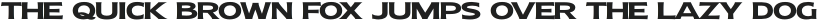 Molly Sans E Bold otf (700)