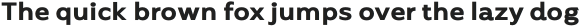 Espion Grotesk otf (400)