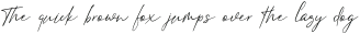 Searchlight Regular otf (300)